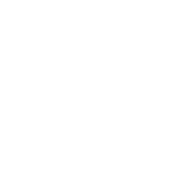 statistic icon