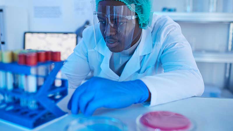 Doctor working with medical analysis stock photo.