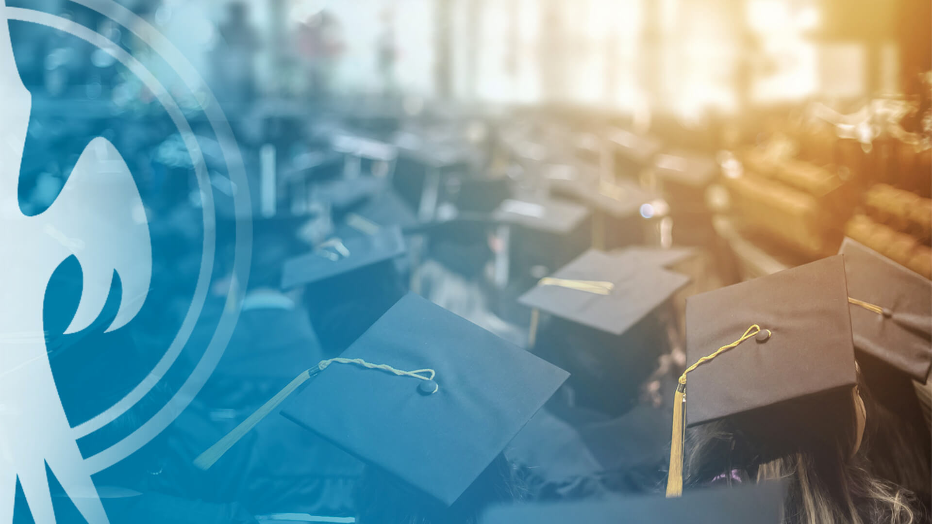 blurry array of mortar boards