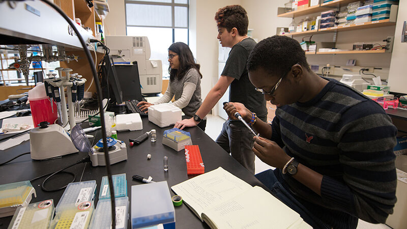 Three Oberlin students work on a lab project during winter term.