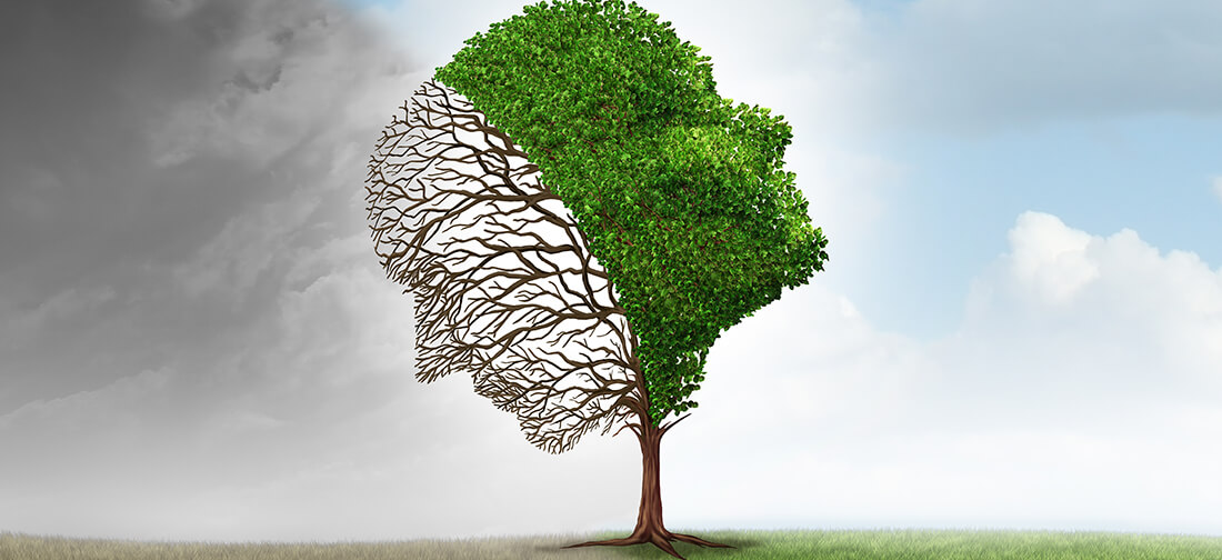 What higher education must do to take on climate change